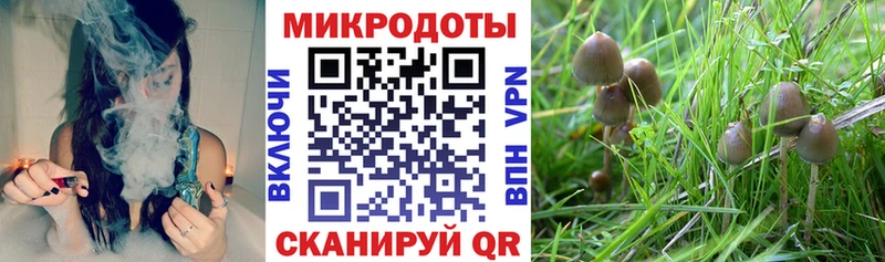 MEGA зеркало  купить   Енисейск  Галлюциногенные грибы прущие грибы 