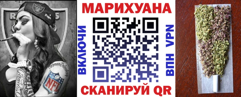 Канабис сатива  Енисейск 